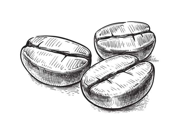 What are nootropics? What are nootropics?