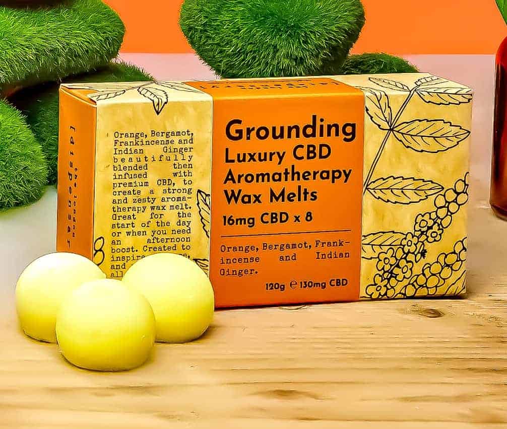 Orange And Ginger Wax Melts