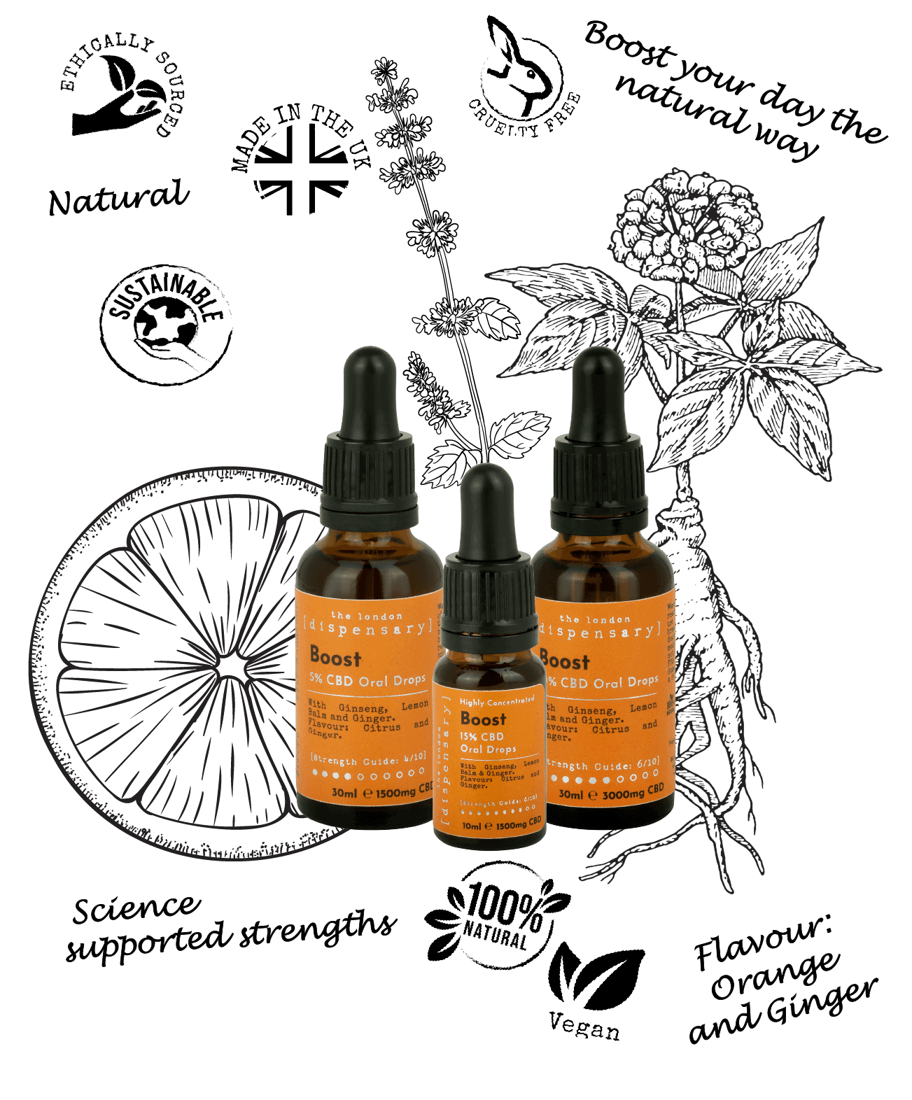 Ginseng Oil
