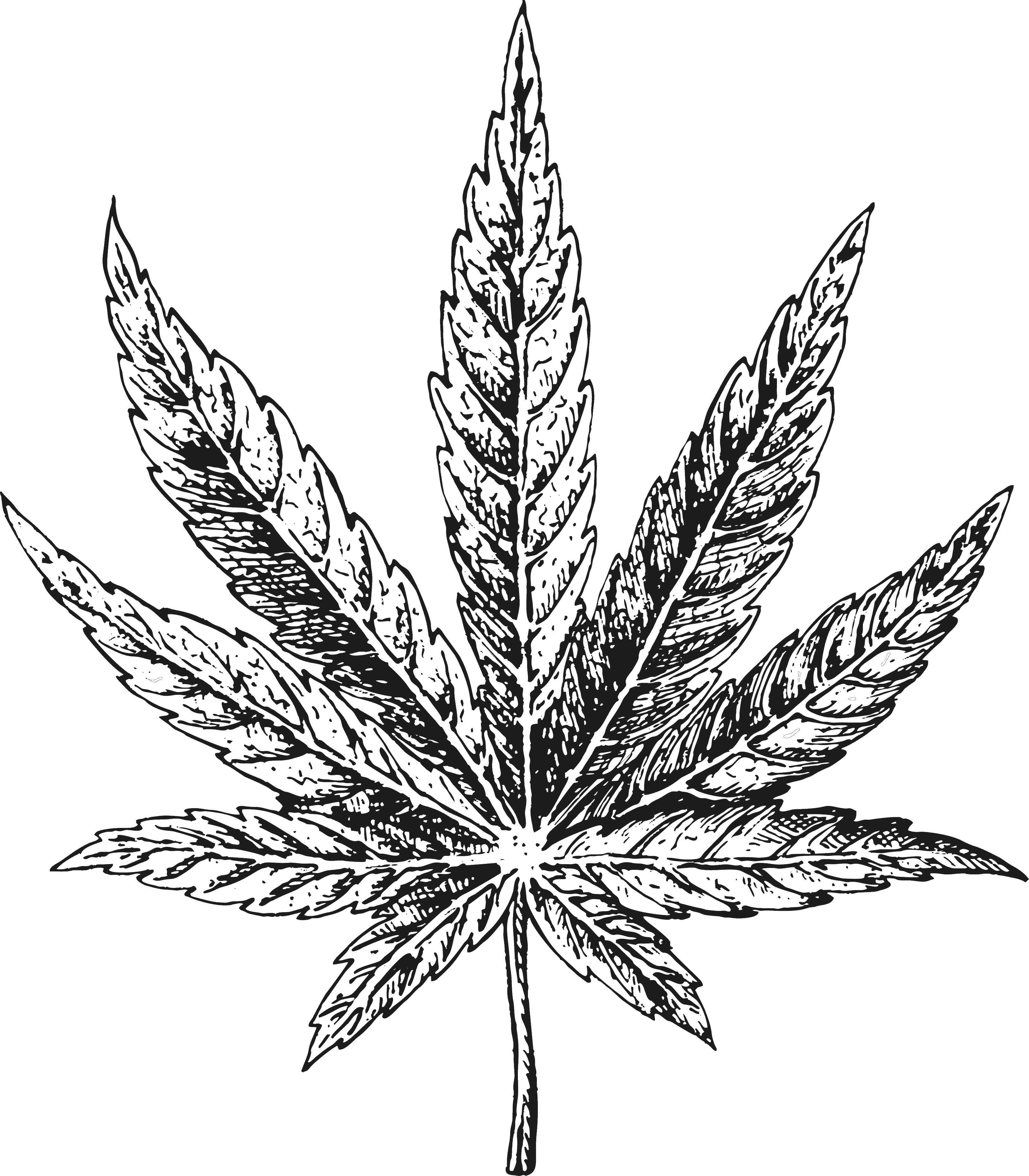Mindfulness Hemp