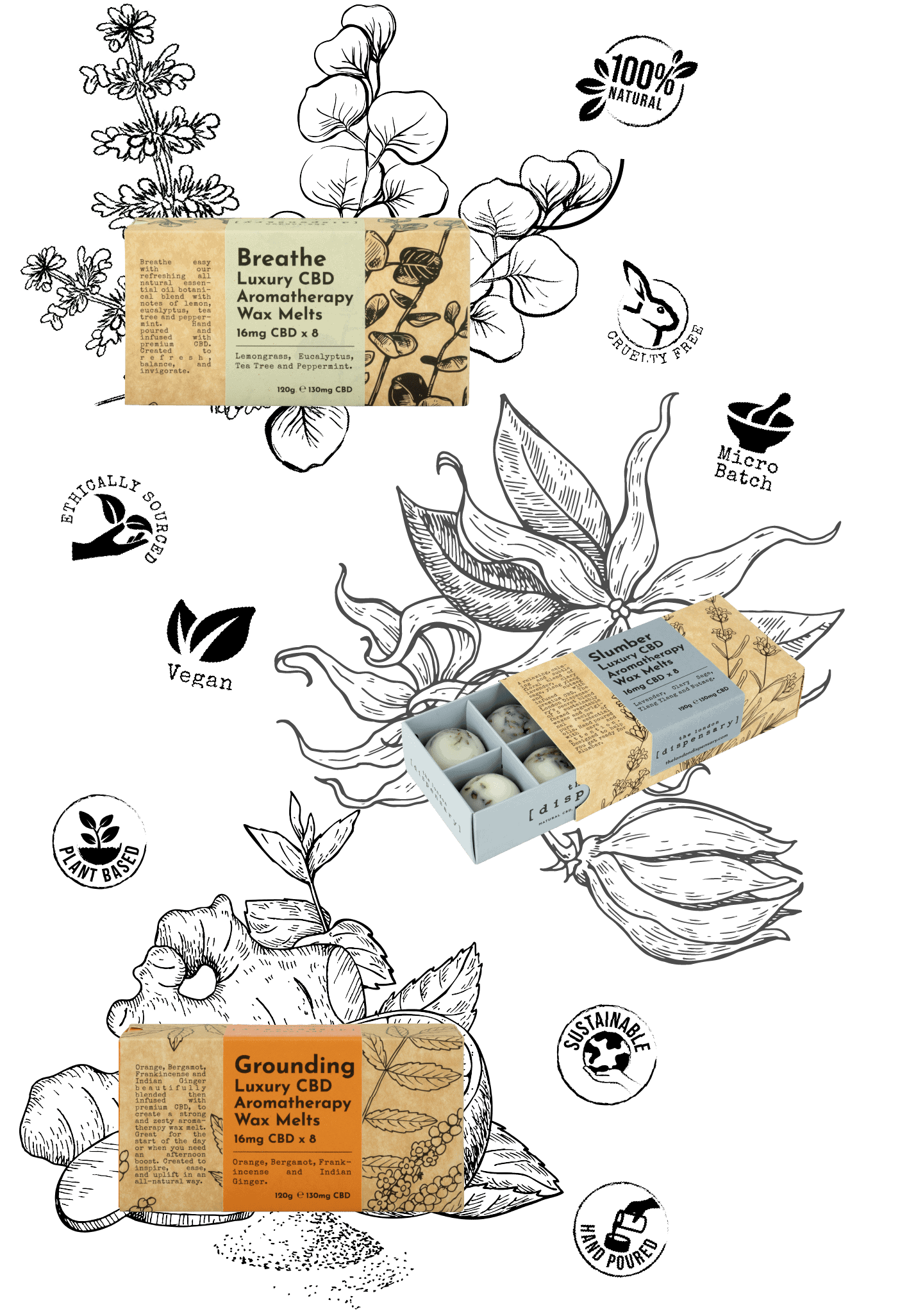 Wax Melt Gift Set