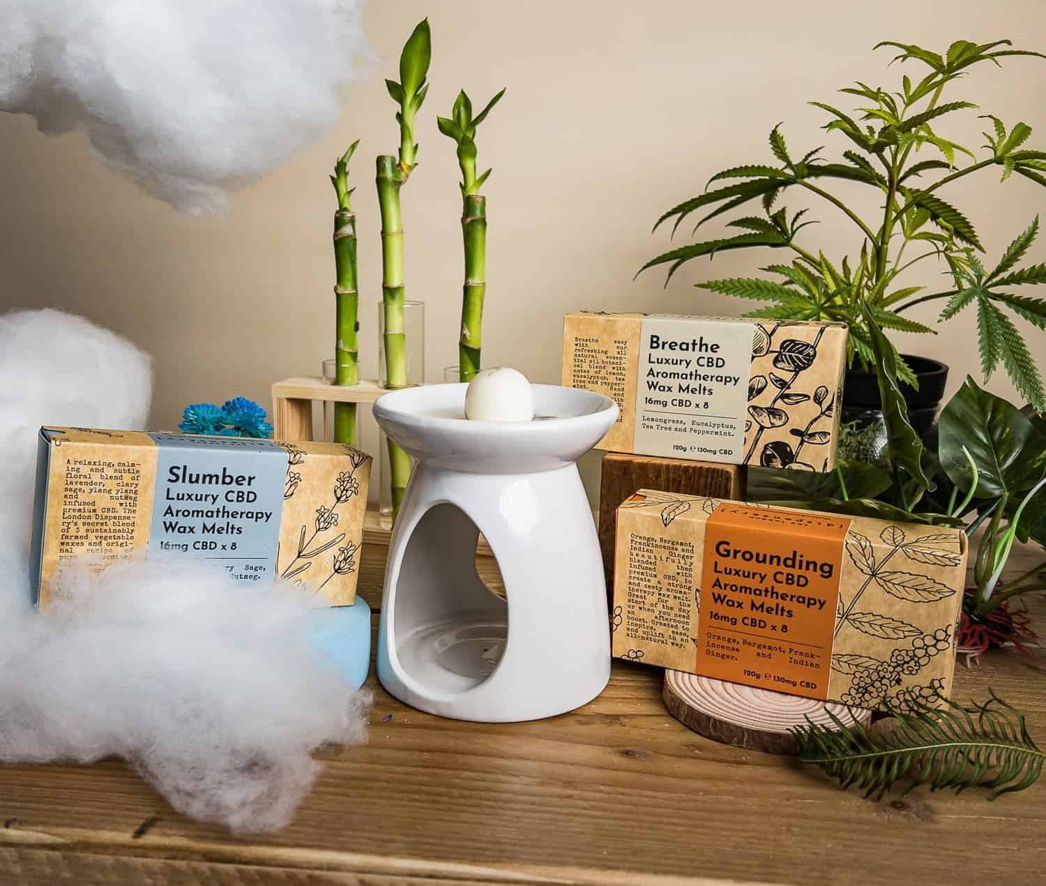 Wax Melt Gift Set 2 Aromatherapy Wax Melt Gift Set + Burner