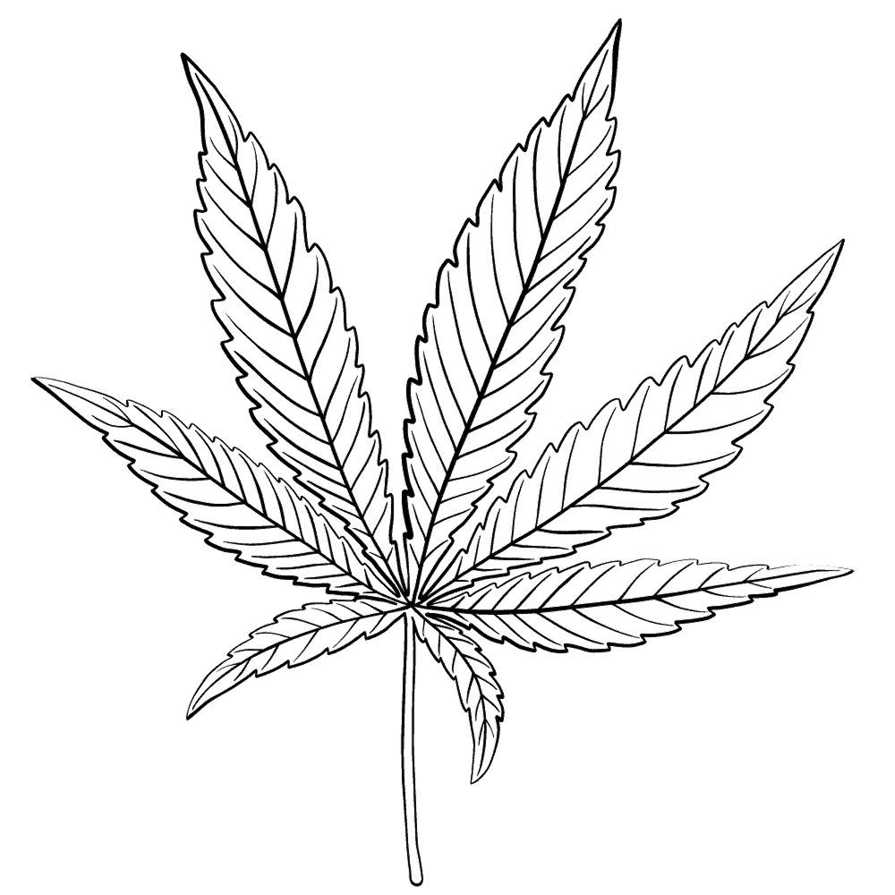 endocanabinoid-system endocannabinoid system