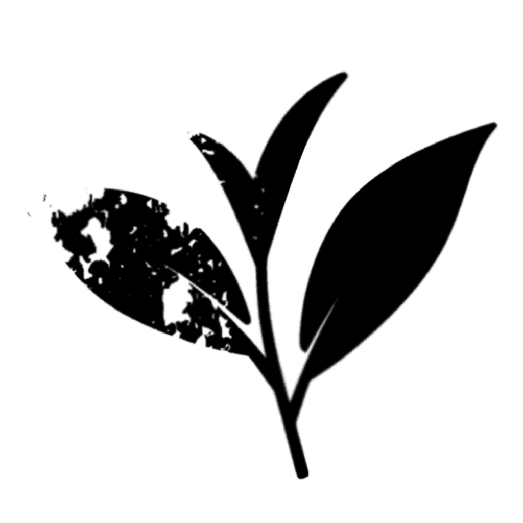 L-Theanine For Sleep 