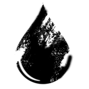 Argan Oil