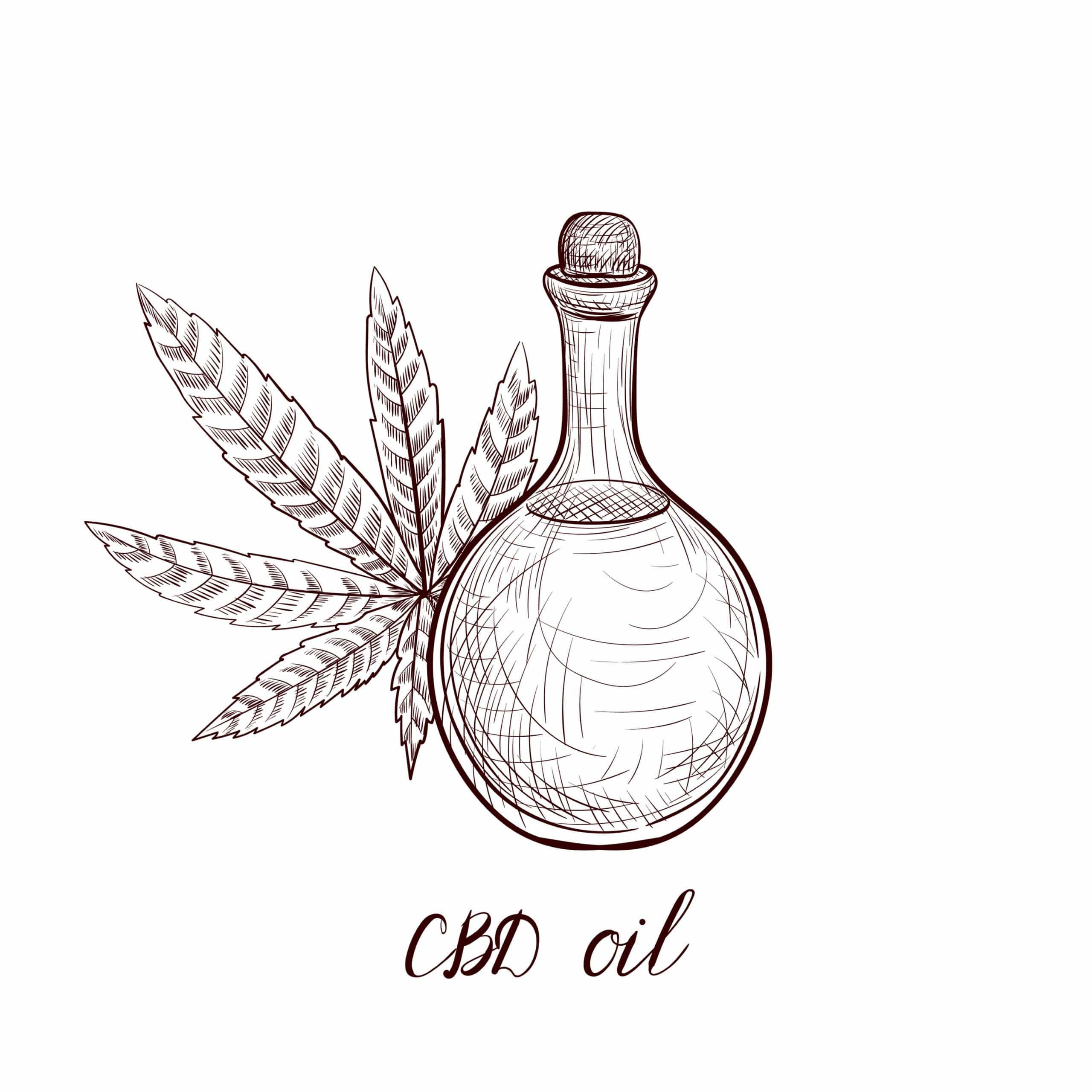 CBD Oil does it get you high?