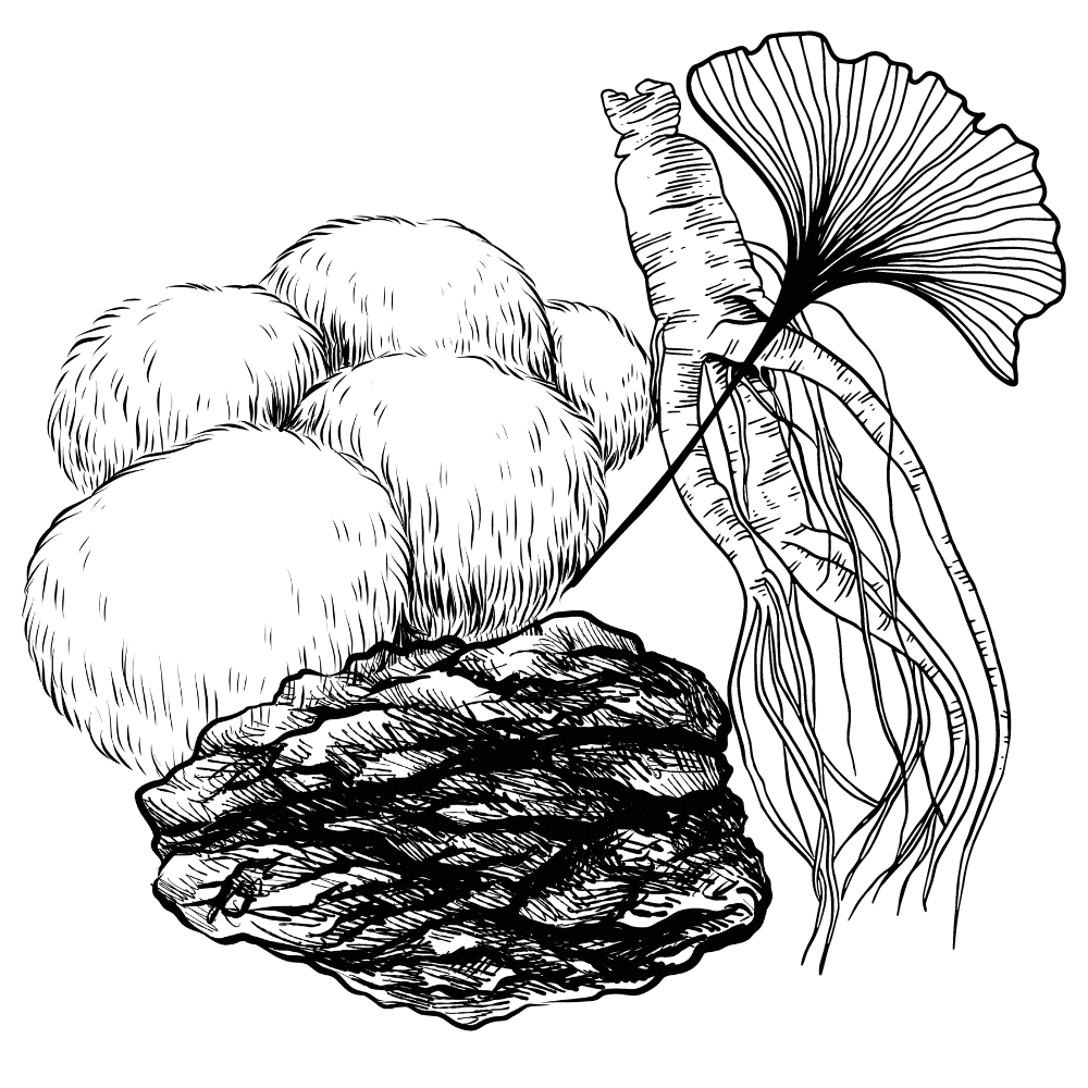 Buy Nootropics UK