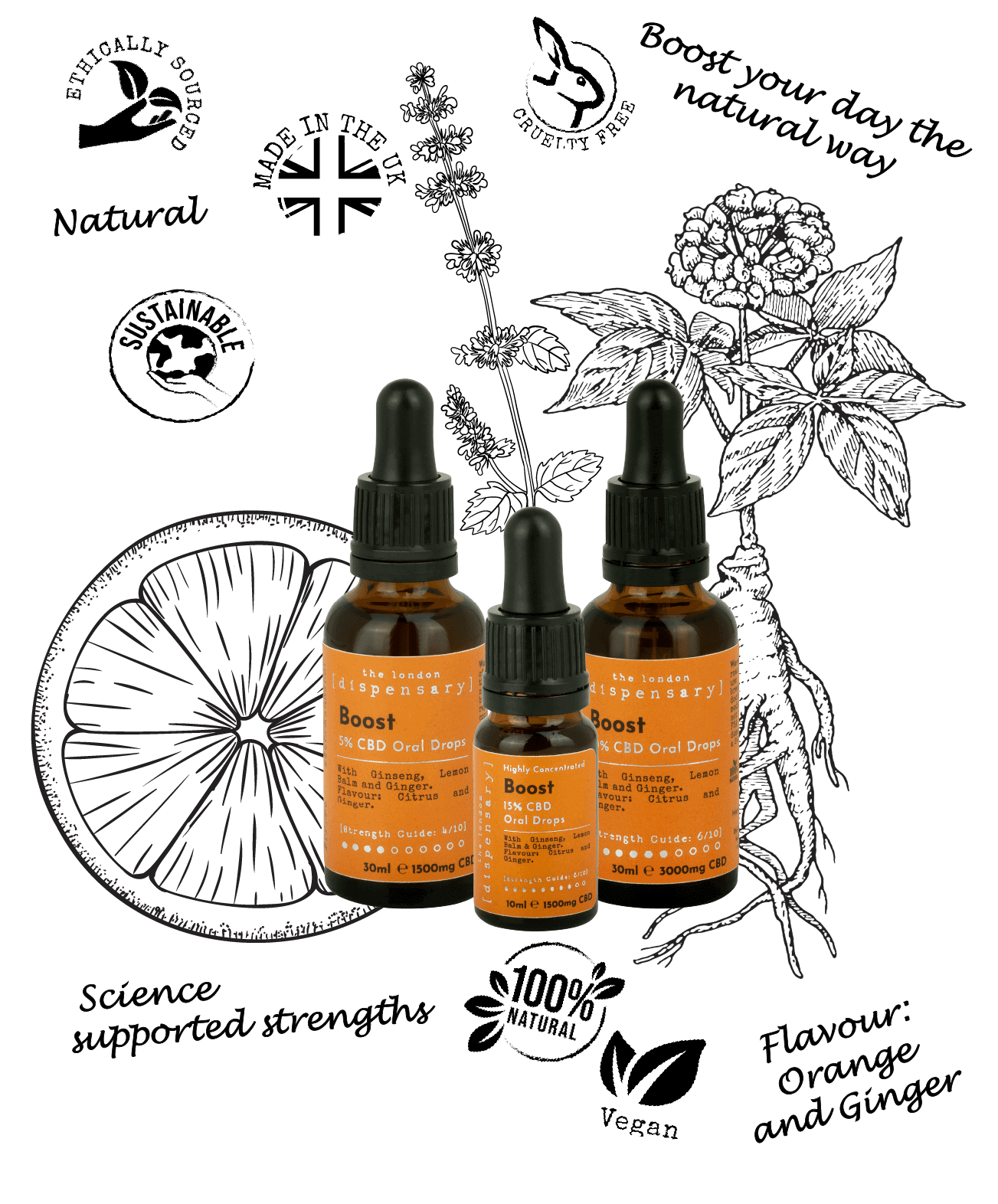 Ginseng Oil UK Ginseng Oil