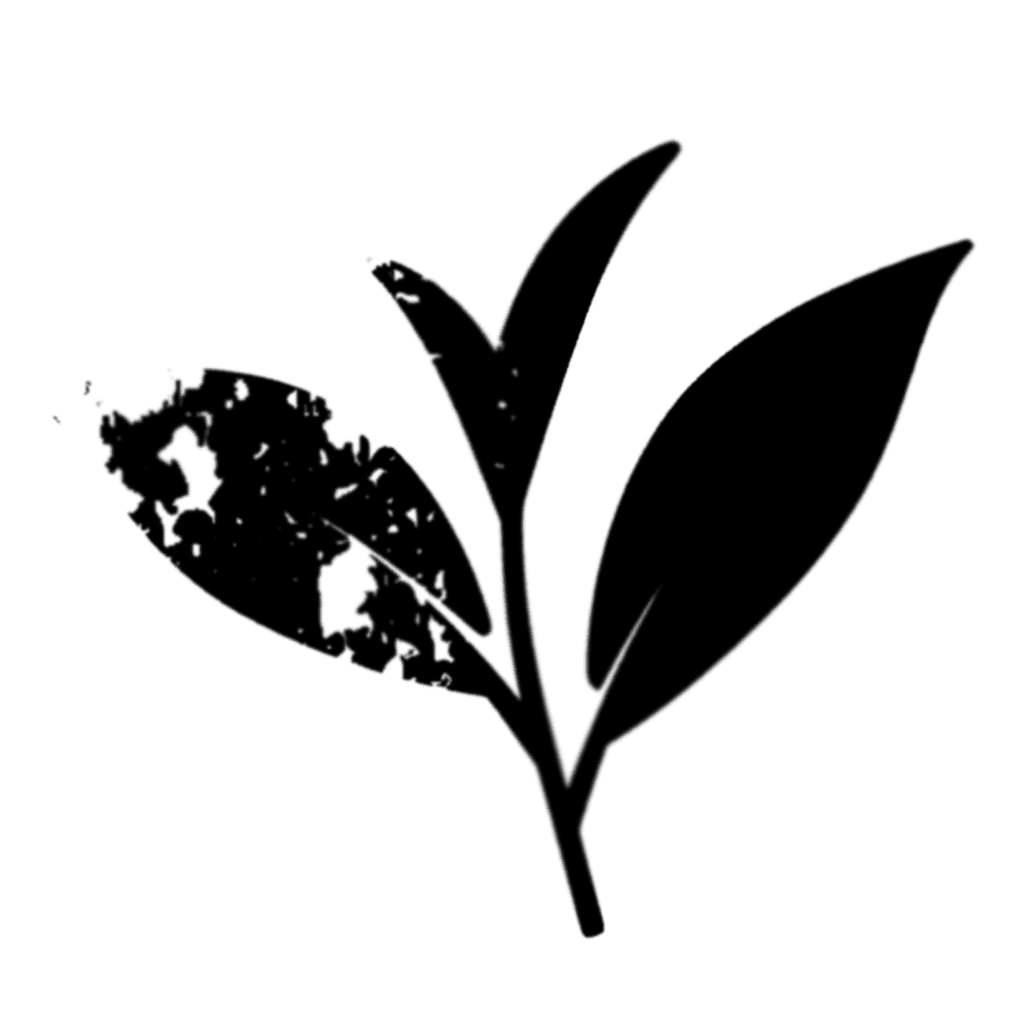 L-Theanine For Sleep 