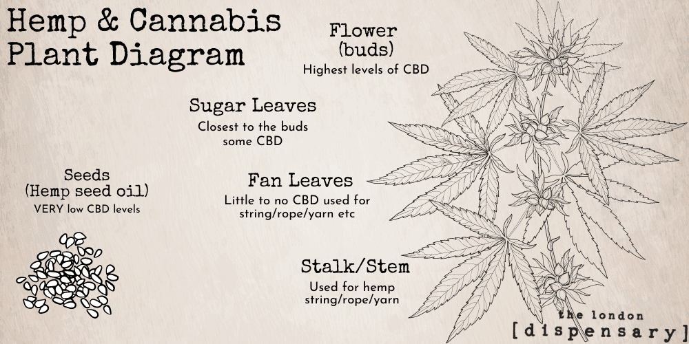 Cbd Flower Uk