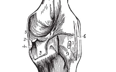 The London Dispensary storefront or retail location in London, United Kingdom