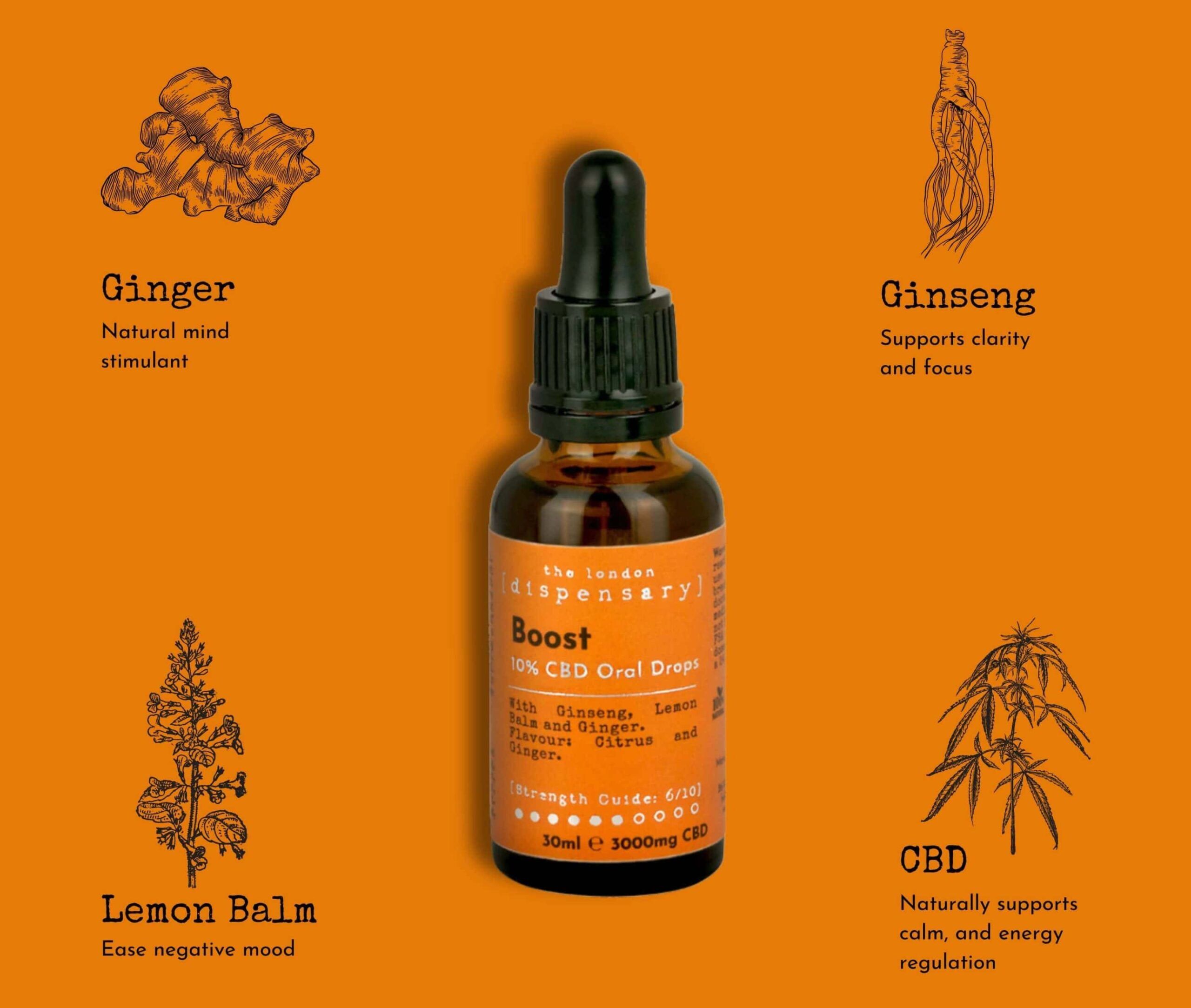 Best CBD Oil For Focus & Energy | Nootropic Blend | Broad-Spectrum